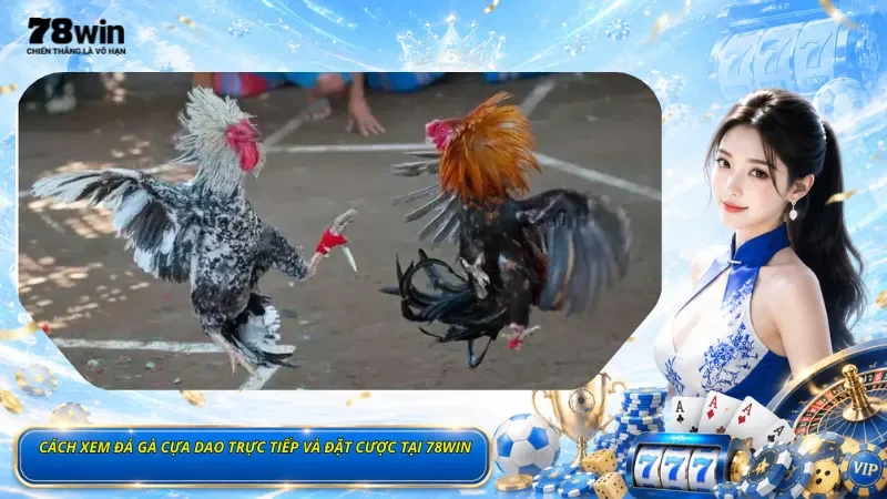 Cách Xem Đá Gà Cựa Dao Trực Tiếp Và Đặt Cược Tại 78Win