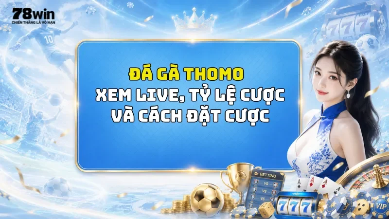 Đá Gà Thomo 78Win - Xem Live, Tỷ Lệ Cược Và Cách Đặt Cược