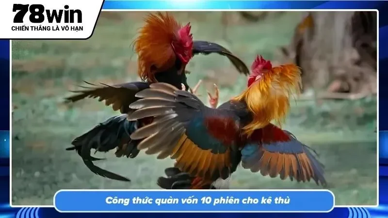 Phân bổ dòng tiền thông minh giúp vượt qua những chuỗi thua liên tiếp
